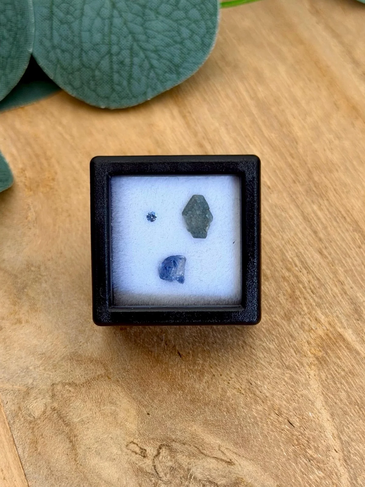 Natural benitoite crystals and a small faceted blue benitoite in a black display box